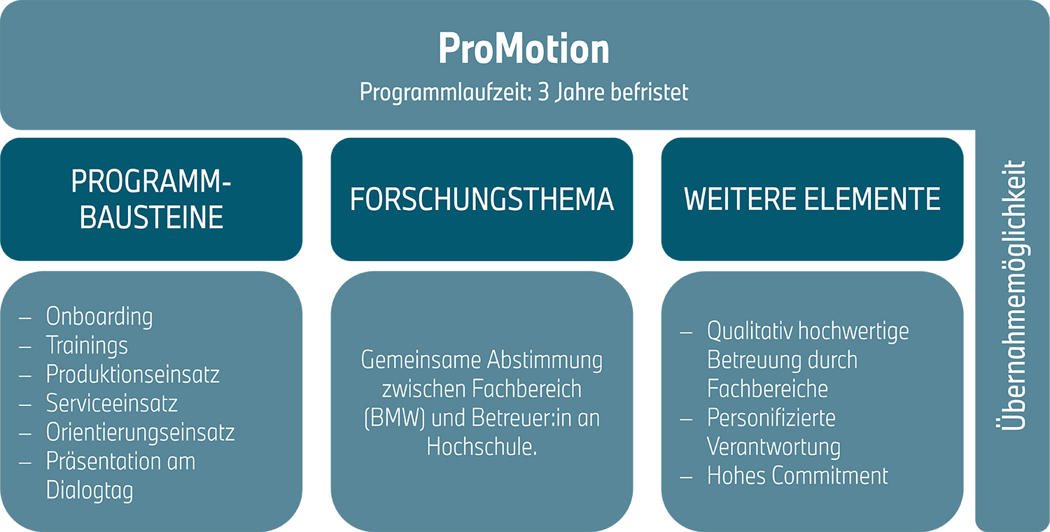 Grafik Programminhalte ProMotion