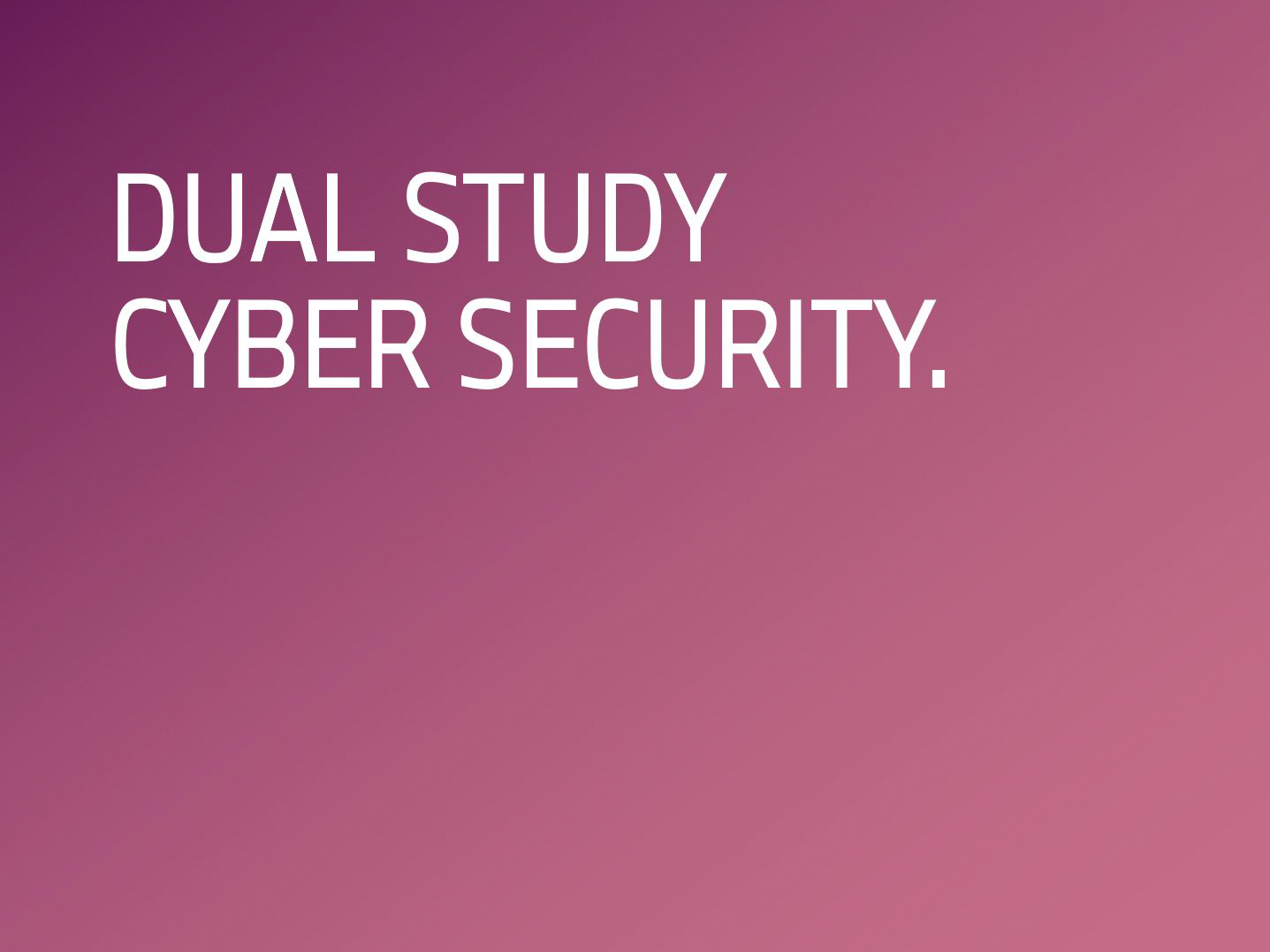 Dual Study Cyber Security