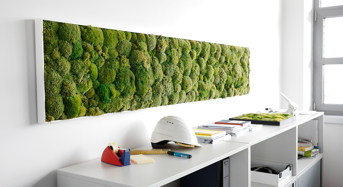 Office environment with moss on the wall.